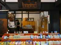 【富山城下町（①守る都市・治す産業）】（富山県富山市　旧国名：越中）