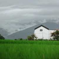 พักผ่อนนอนเล่นกลางทุ่งนา Viewna Litle Home น่าน