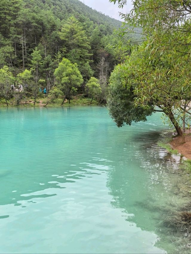 The Blue Moon Valley