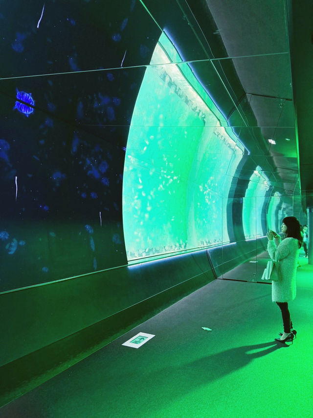 〜茨城県〜PJマッピングと神秘的なクラゲが見られる水族館！