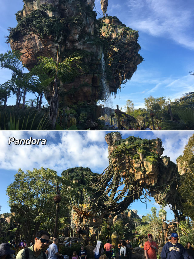 Adventures at Animal Kingdom in WDW, Florida 🐘