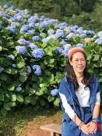 🌸 ไฮเดรนเยียซัง