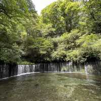 【群馬】群馬のナイアガラ吹割の滝