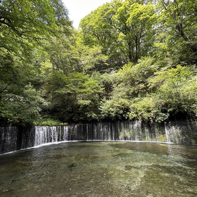 【群馬】群馬のナイアガラ吹割の滝