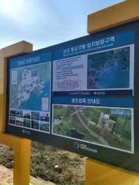 벌교에서 꼭 가볼만한 보성 여행지🐚