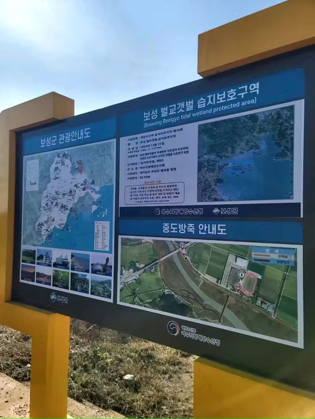 벌교에서 꼭 가볼만한 보성 여행지🐚