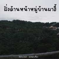 #ภูวิวแคมป์ กางเต็นท์กับบรรยากาศสุดฟินที่ผาฮี้ 