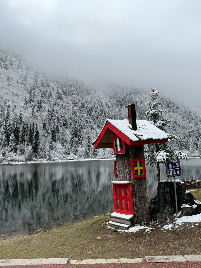 Dagu Lake 🌲🏔️