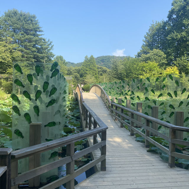 Nami Island, South Korea. A trip outside of the city