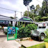 The BEST Fish And Chips in Cameron Highlands!