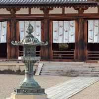 Oldest Wooden Structure on Earth - Horyu Ji