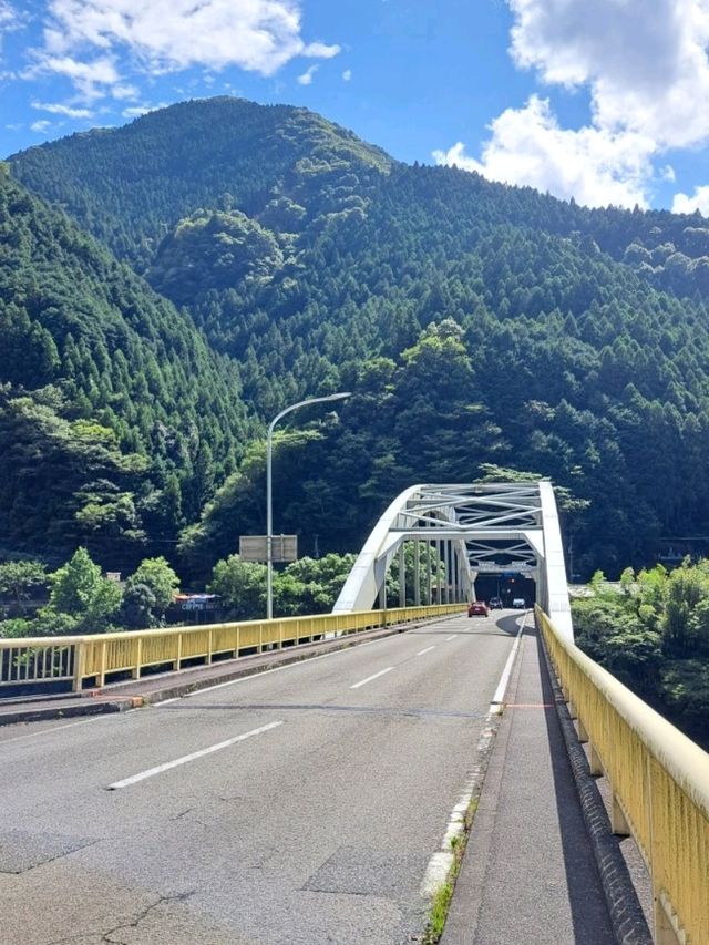 【大歩危橋:徳島県三好市】自然の壮大さにきっと必ず感動する✨