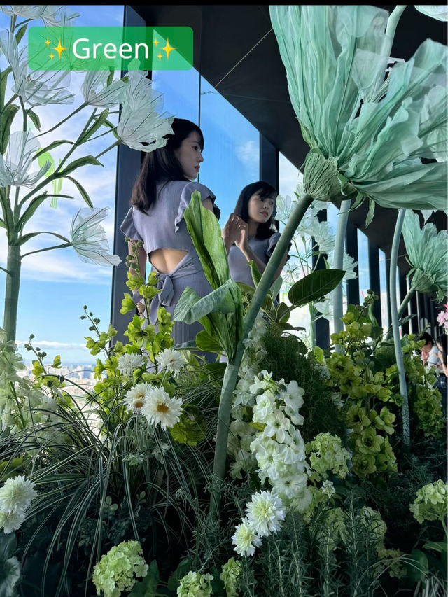 〜東京都〜室内でお花見空中散歩！Flower view🌸
