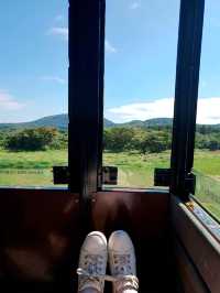 제주 여행 필수코스~! 에코랜드 테마파크🏞