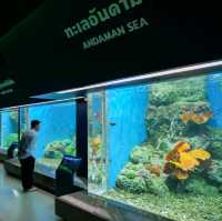 ทัวร์โลกใต้น้ำกับอควาเรียมบางแสนกันครับ 🪼🐠🦈