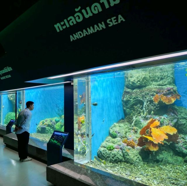 ทัวร์โลกใต้น้ำกับอควาเรียมบางแสนกันครับ 🪼🐠🦈