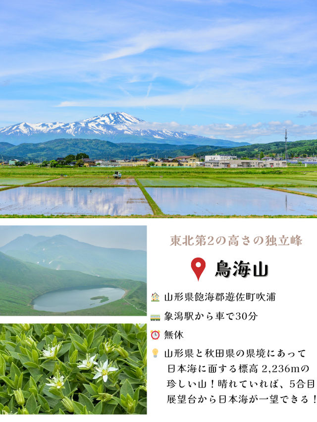 【にかほ(秋田)】今年の夏はにかほへ！にかほ市オススメスポット5選