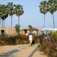 BAMP: Beach&Cafe คาเฟ่บีชแคมป์ปิ้งริมทะเลหัวหิน