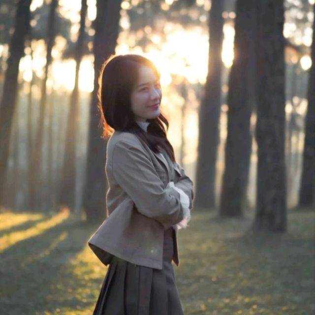สวนสนฟิลเกาหลี