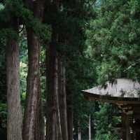 孔大寺神社 ⛩️ 平靜祥和