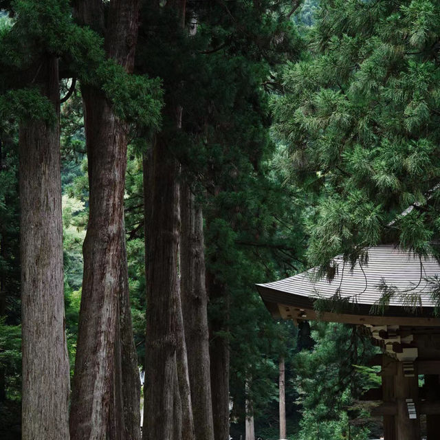 孔大寺神社 ⛩️ 平靜祥和