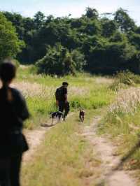 ตะลุยเทรล 6 กิโลเมตร ที่ Wisdom Valley