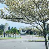 Bukit Serene Palace Istana Bukit Serene