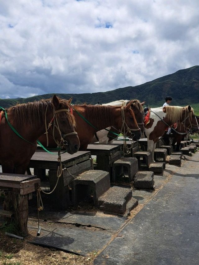 【草千里ヶ浜:熊本県阿蘇市】見渡す限りの美しい草原✨