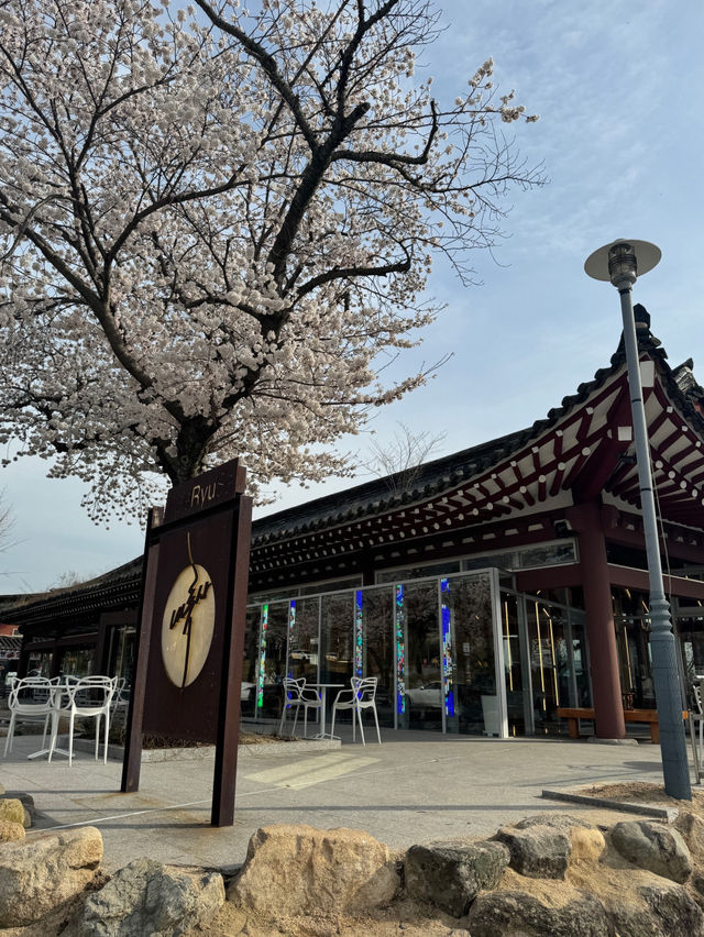 ૮꒰ྀི ੭˶ᵔ ᵕ ᵔ ꒱ྀི੭ 경주 황리단길 카페 내류사