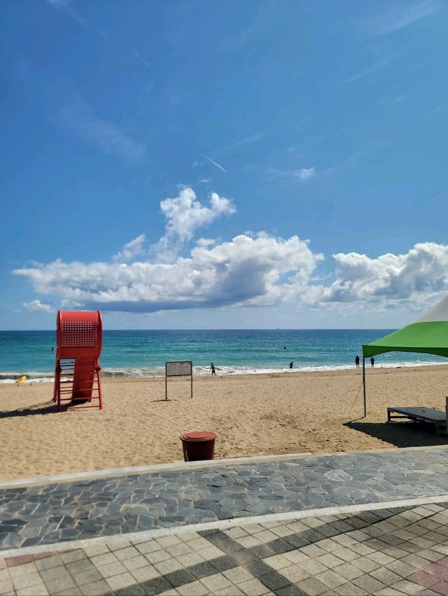 해외부럽지 않았던 포항 화진해수욕장🏖