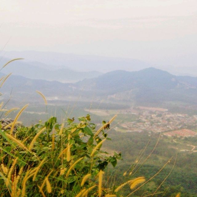 🇲🇾 Beyond the Peak: Broga Hill Awaits