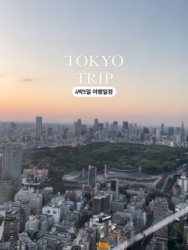 도쿄가 처음이라면? 4박5일 여행일정 총정리🍣🍜