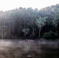 ล่องแพที่ปางอุ๋ง สัมผัสบรรยากาศยามเช้าสุดฟิน 🌲