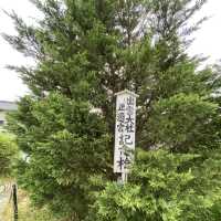 【鳥取県】出雲大社米子分院