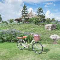 คาเฟ่เปิดใหม่ เขาใหญ่