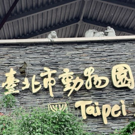 【台湾】充分な広さにびっくり台北動物園🐱