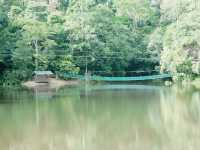 Kabili-Sepilok Forest Reserve