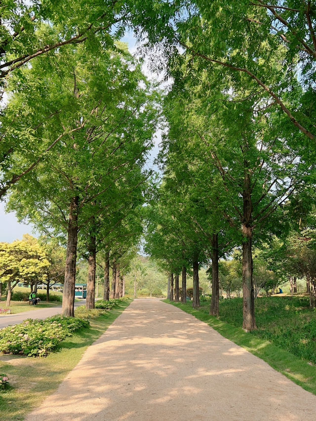 순천만 국가정원은 꼭 가봐야해요~ ⛲️