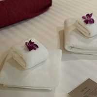 Review of The Memory at on on Hotel