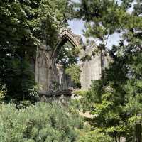 Museum Gardens