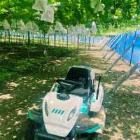 小林農園🌴 濃濃的鄉土氣息
