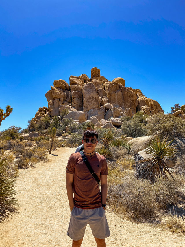 Hidden Valley Nature Trail: A Captivating Hike in Joshua Tree National Park