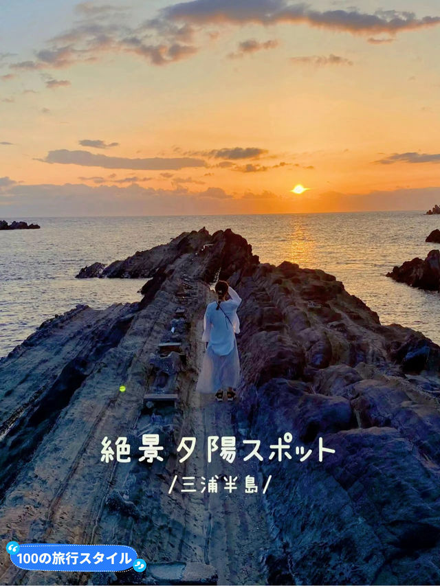 【神奈川】ねこ島🐈絶景夕陽スポットでお散歩