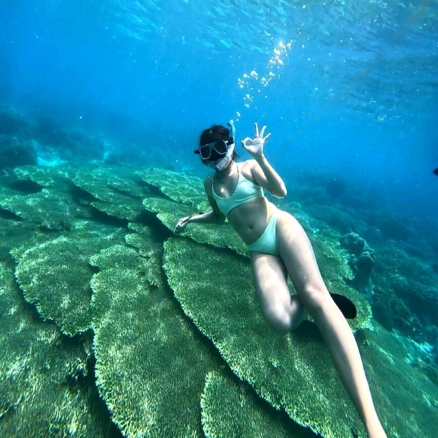 SIQUIJOR TRIP 🏝
