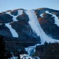 札幌國際滑雪場：冬季運動的夢幻之地⛷️❄️🏔️