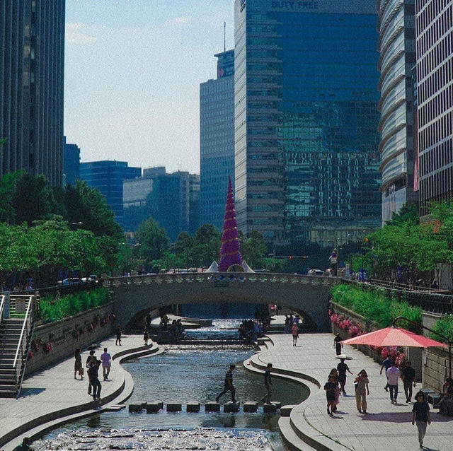 Urban Serenity at Cheonggyecheon Stream