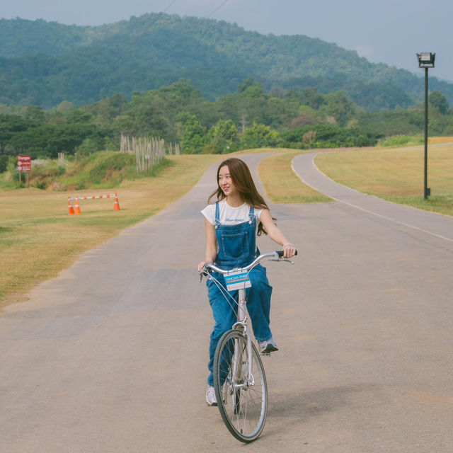 สิ้นปีนี้มารับลมหนาวกับบรรยากาศดี ๆ 🛴🌳