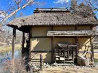 Strange rare landscape จุดชมวิว จ.นากาโนะ