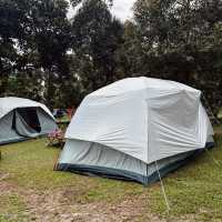 "Nature’s Retreat: Discovering the Jelebu Campsite"