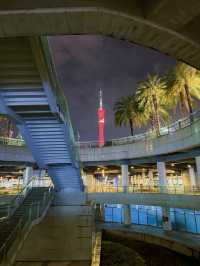 Guangzhou's Illuminated Cityscape: A Night of Towers and Bridges